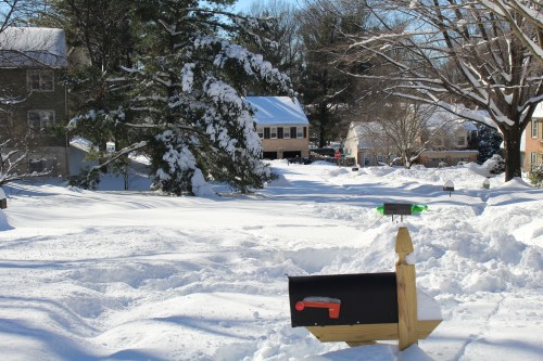 Blizzard2016 2016-01-23 047