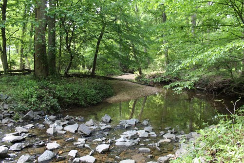 Stream Valley Project - spring 2016 2016-05-20 166